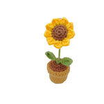 Hand-woven Mini Potted Office Decorations Wool Finished Product
