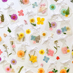 Dry Flower Bookmark Transparent Vial Material Package