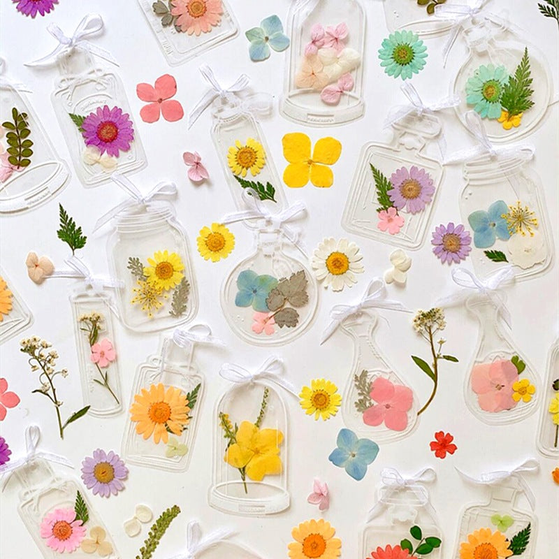 Dry Flower Bookmark Transparent Vial Material Package