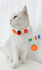 Pet Knitted Wool Felt Daisy Flower Bee Pumpkin Fruit Strap Cute Cat Collar Customization