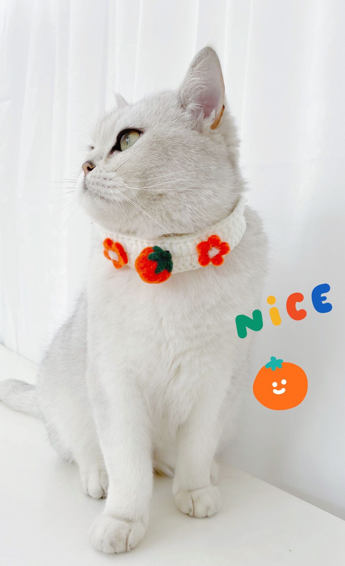 Pet Knitted Wool Felt Daisy Flower Bee Pumpkin Fruit Strap Cute Cat Collar Customization
