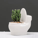 Creative Cartoon Succulent Flower Pot