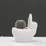 Creative Cartoon Succulent Flower Pot