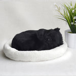 Decoration Creative Birthday Gifts Creative Gifts Crafts Cats That Breathe