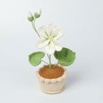 Finished Handmade Wool Woven Home Decoration Tulip Potted Plant