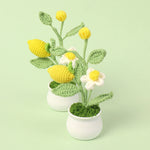 Finished Wool Crocheted Fruit Potted Hand-woven Lemon Ornaments