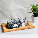 Decoration Creative Birthday Gifts Creative Gifts Crafts Cats That Breathe