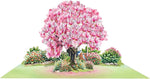 CUTPOPUP Magnolia Tree, Anniversary Card Pop Up, Wedding, Engagement, 3D Greeting Card (Magnolia Tree)