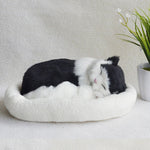 Decoration Creative Birthday Gifts Creative Gifts Crafts Cats That Breathe