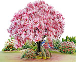 CUTPOPUP Magnolia Tree, Anniversary Card Pop Up, Wedding, Engagement, 3D Greeting Card (Magnolia Tree)