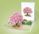 CUTPOPUP Magnolia Tree, Anniversary Card Pop Up, Wedding, Engagement, 3D Greeting Card (Magnolia Tree)