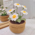 Knitting Tulip Daisy Potted Bouquet Material Package