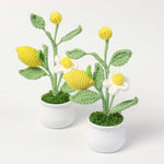 Finished Wool Crocheted Fruit Potted Hand-woven Lemon Ornaments