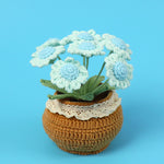 Finished Handmade Wool Woven Home Decoration Tulip Potted Plant
