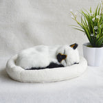Decoration Creative Birthday Gifts Creative Gifts Crafts Cats That Breathe
