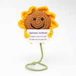 Wool Crocheted Positive Energy Potato Facial Expression Package Wool Fruit