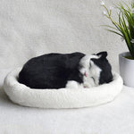 Decoration Creative Birthday Gifts Creative Gifts Crafts Cats That Breathe