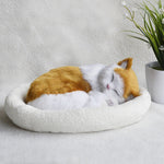 Decoration Creative Birthday Gifts Creative Gifts Crafts Cats That Breathe