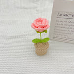 Hand-woven Mini Potted Office Decorations Wool Finished Product