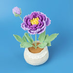 Finished Handmade Wool Woven Home Decoration Tulip Potted Plant