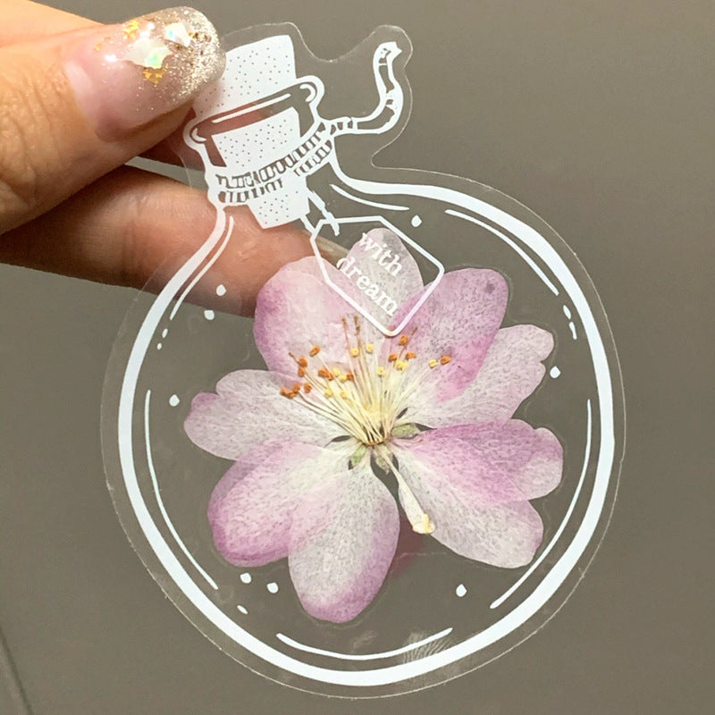 Dry Flower Bookmark Transparent Vial Material Package