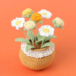 Finished Handmade Wool Woven Home Decoration Tulip Potted Plant