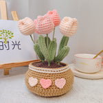 Knitting Tulip Daisy Potted Bouquet Material Package