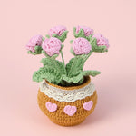 Finished Handmade Wool Woven Home Decoration Tulip Potted Plant